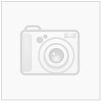 Norsk KarateF Norge Logo N Transfermerke 250 mm x 69 mm